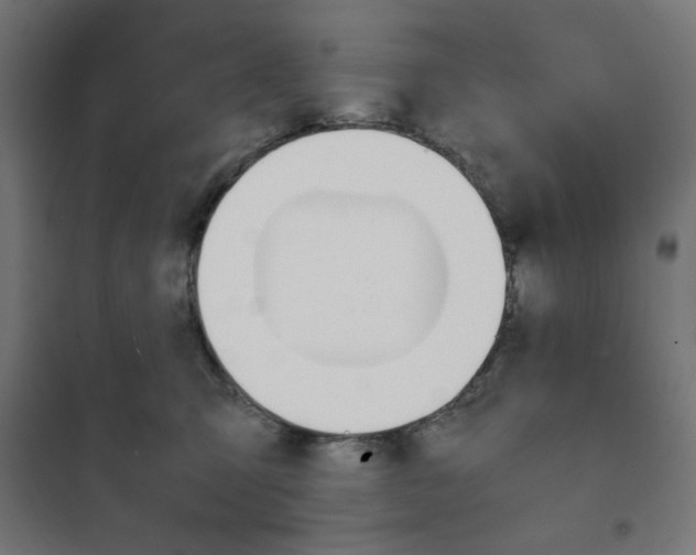 X0000101660423200808071025