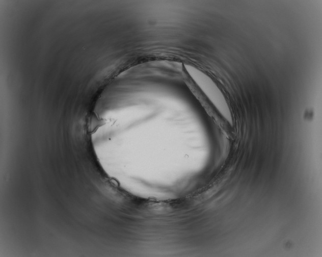 X0000101660424200808071025