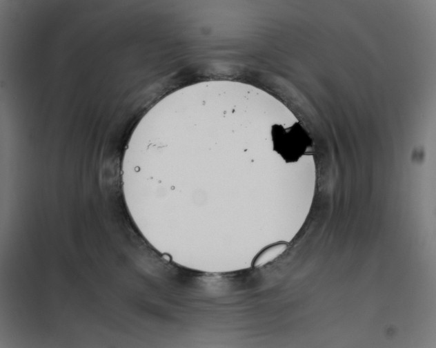 X0000101660425200808071025
