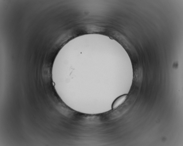 X0000101660426200808071025