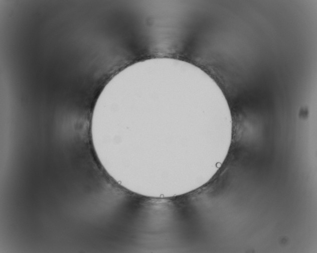 X0000101660427200808071025
