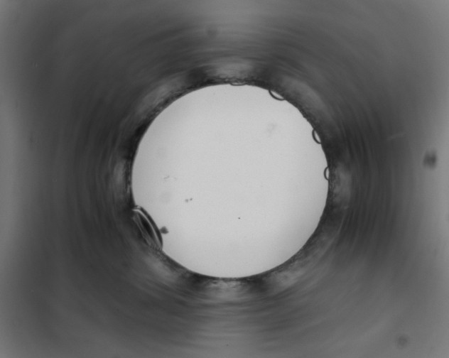 X0000101660428200808071025