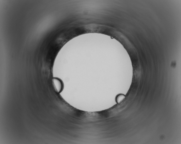 X0000101660429200808071025