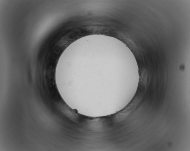 X0000101660430200808071025