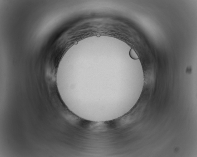 X0000101660431200808071025