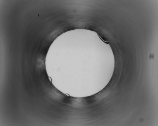 X0000101660432200808071025