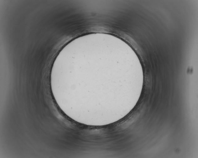 X0000101660433200808071025