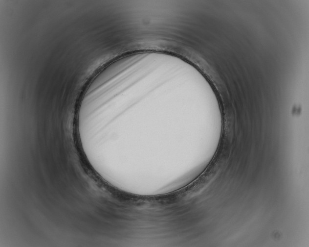 X0000101660434200808071025