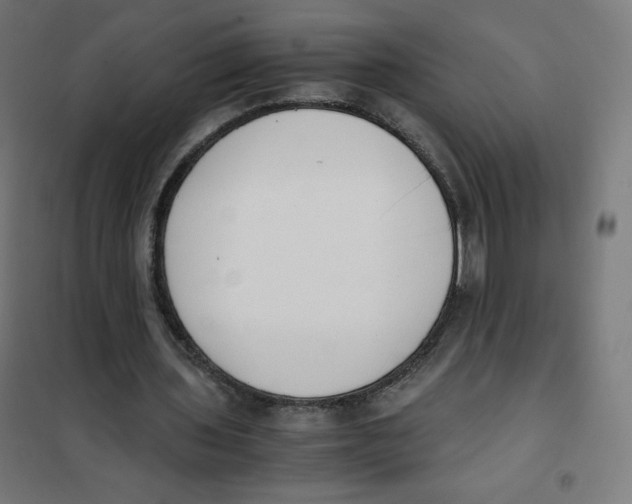 X0000101660435200808071025