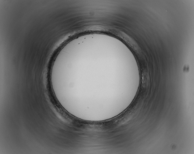 X0000101660436200808071025