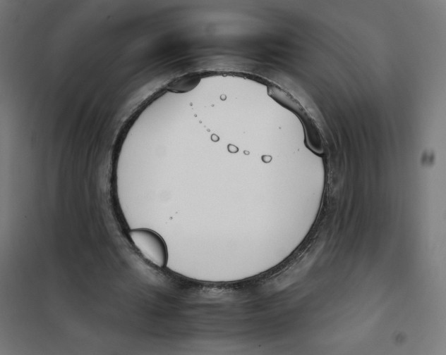 X0000101660437200808071025