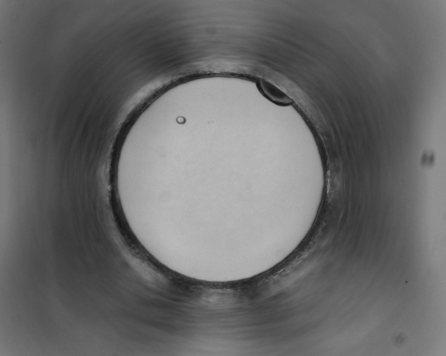 X0000101660438200808071025