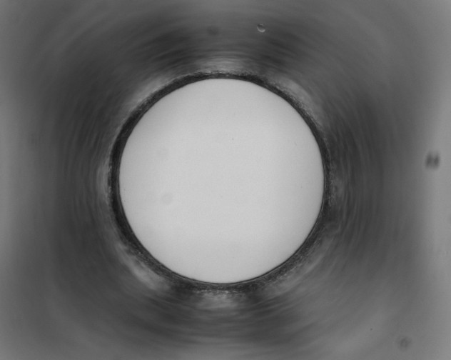 X0000101660439200808071025