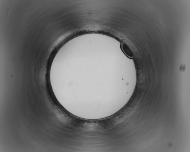 X0000101660440200808071025