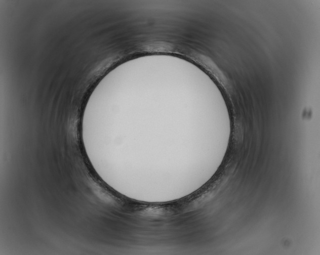 X0000101660441200808071025