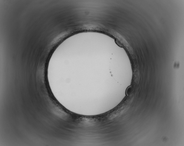 X0000101660442200808071025