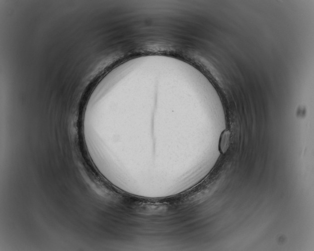 X0000101660443200808071025