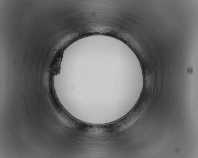 X0000101660444200808071025
