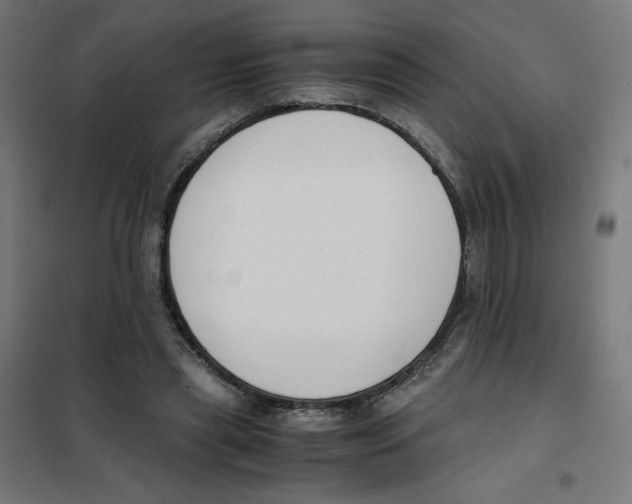 X0000101660445200808071025