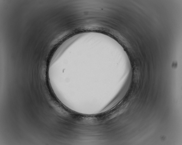 X0000101660446200808071025