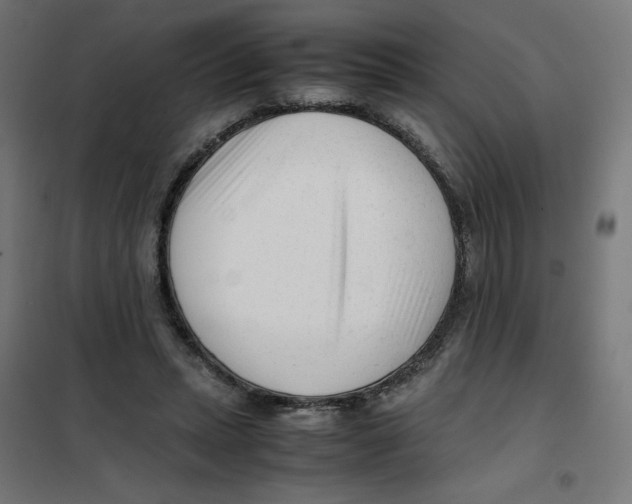 X0000101660447200808071025