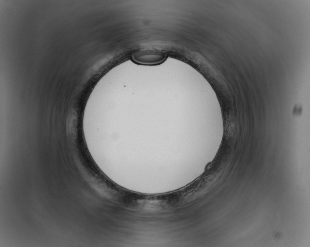 X0000101660448200808071025