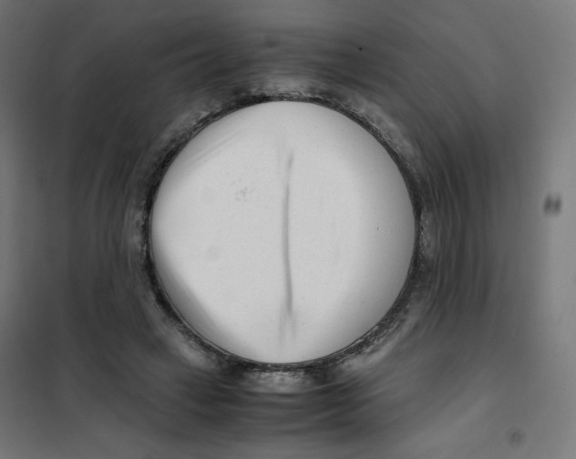 X0000101660449200808071025