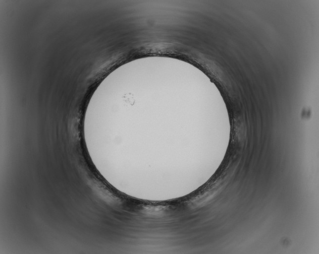 X0000101660450200808071025