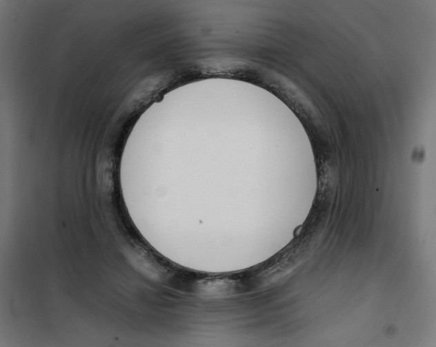 X0000101660452200808071025