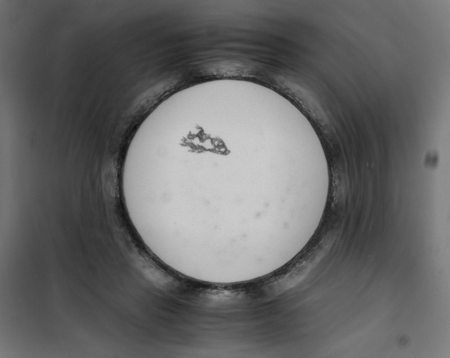 X0000101660453200808071025