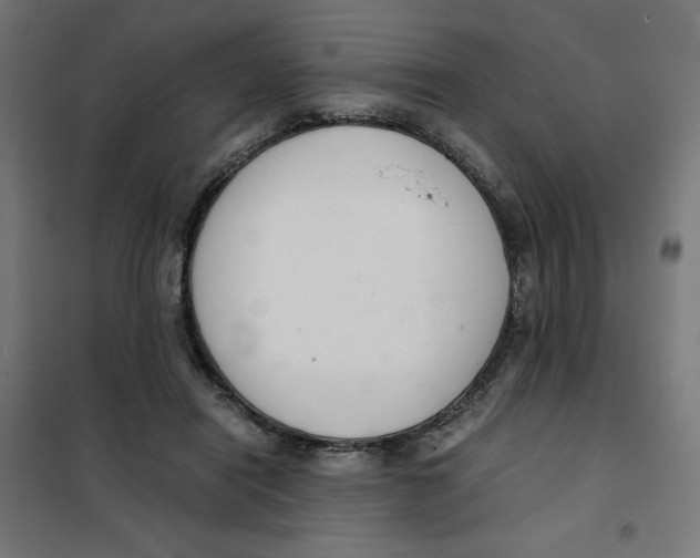 X0000101660454200808071025