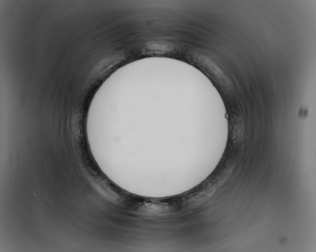 X0000101660455200808071025