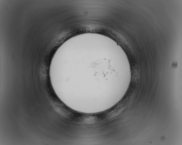 X0000101660456200808071025