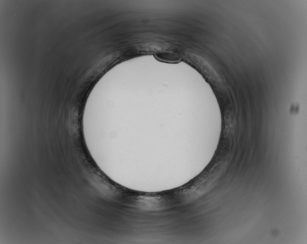 X0000101660457200808071025