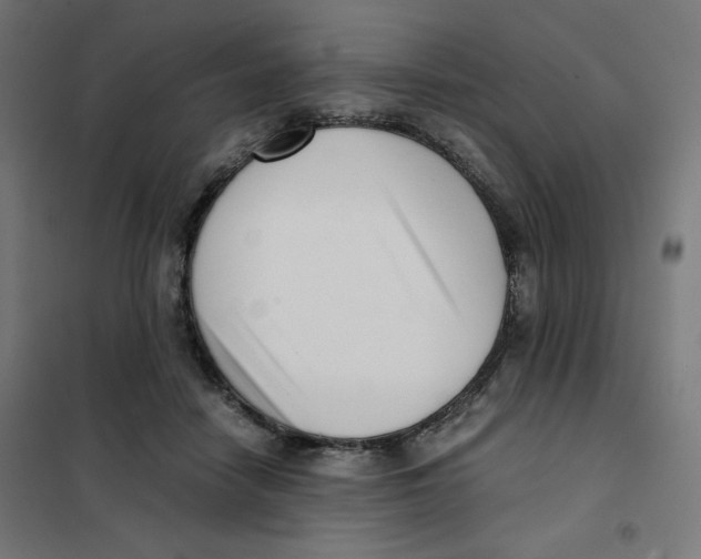 X0000101660458200808071025
