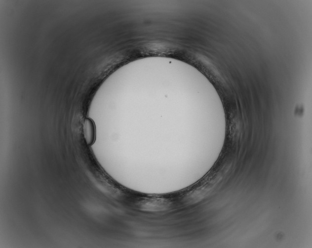 X0000101660459200808071025