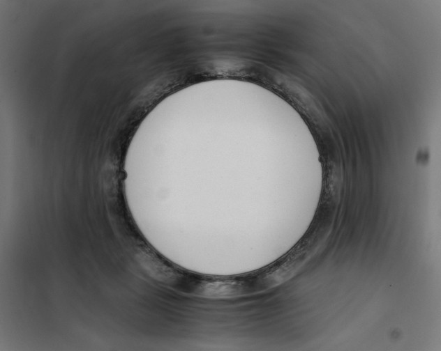 X0000101660461200808071025