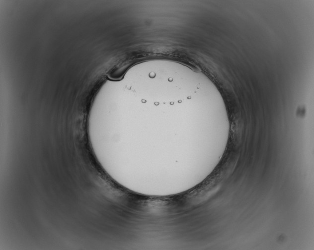 X0000101660462200808071025
