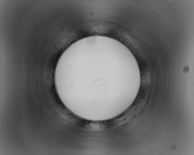 X0000101660464200808071025