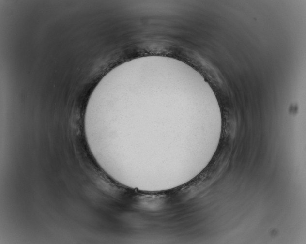 X0000101660465200808071025
