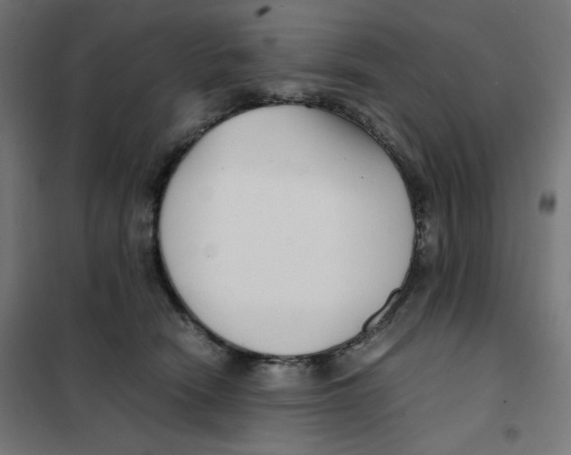 X0000101660466200808071025