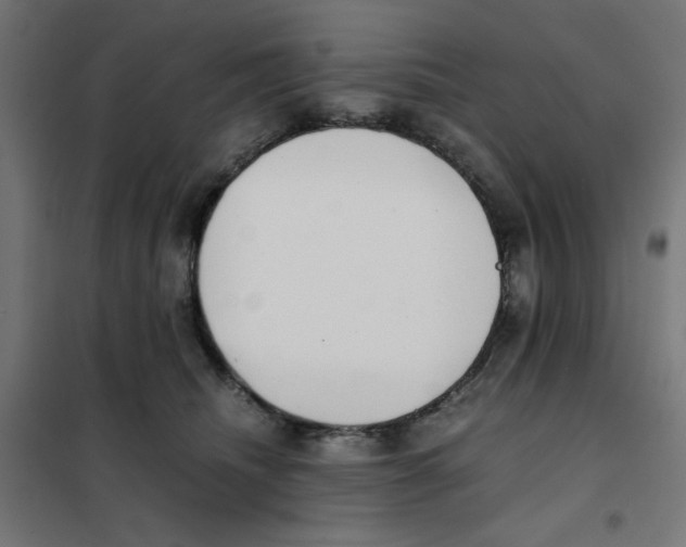 X0000101660468200808071025