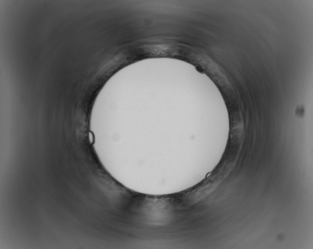 X0000101660469200808071025