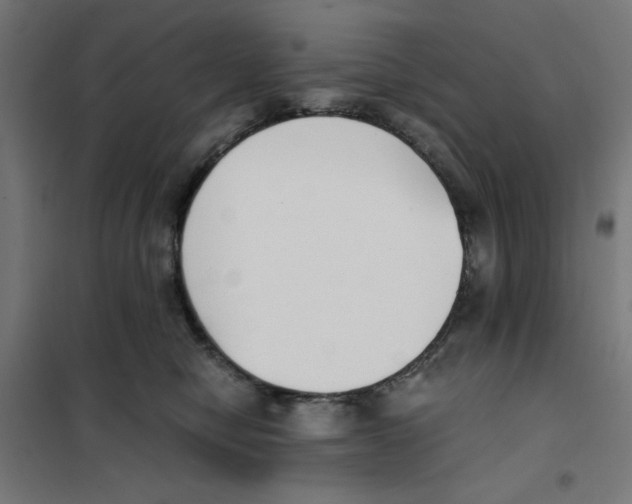X0000101660470200808071025
