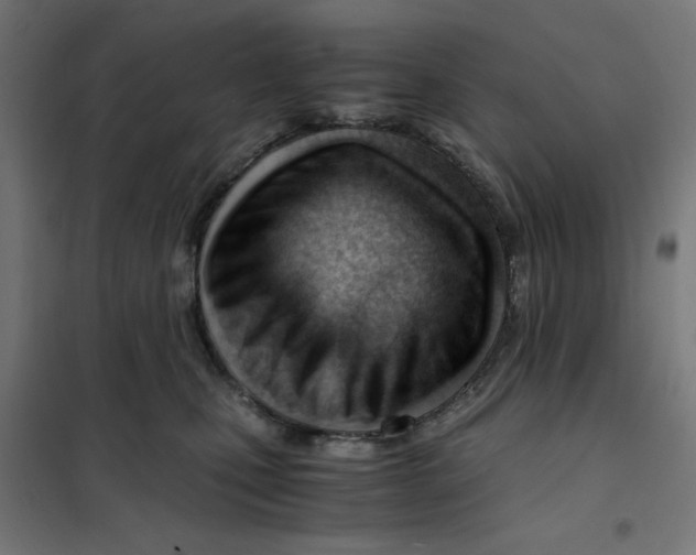 X0000101660471200808071025