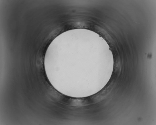 X0000101660473200808071025