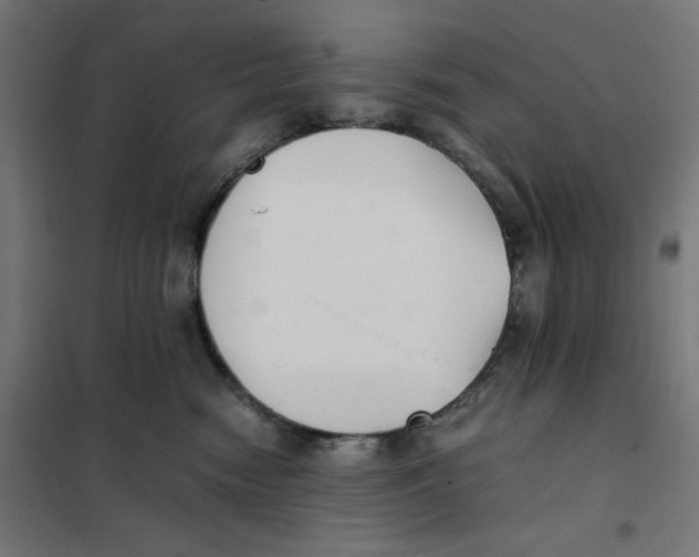 X0000101660474200808071025