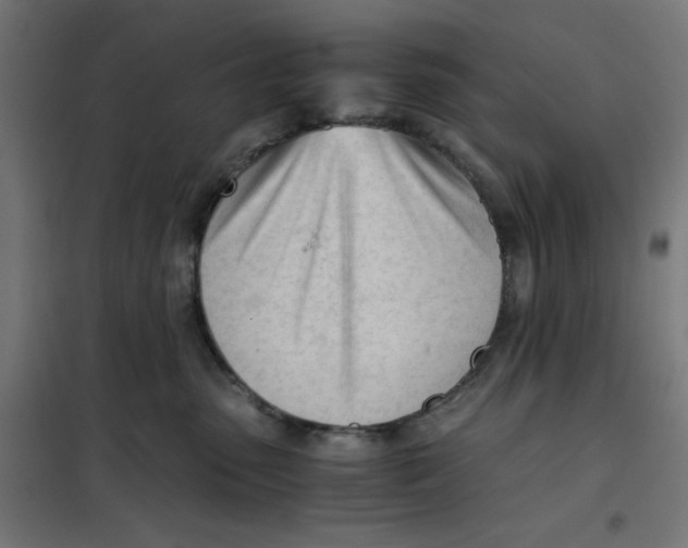X0000101660475200808071025