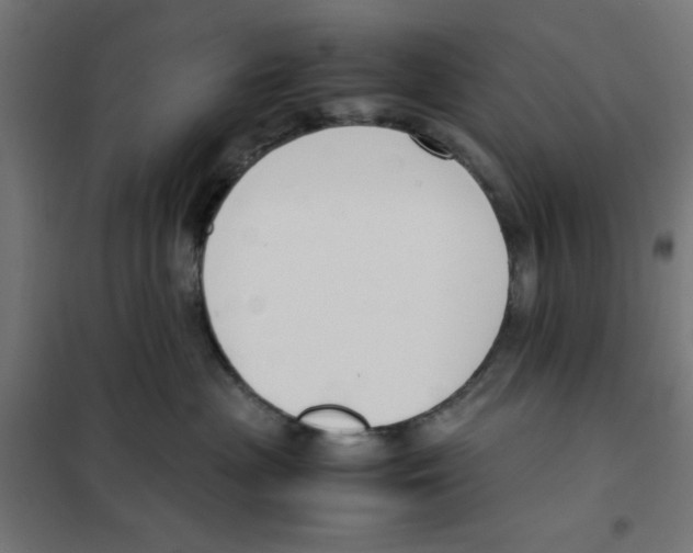 X0000101660477200808071025