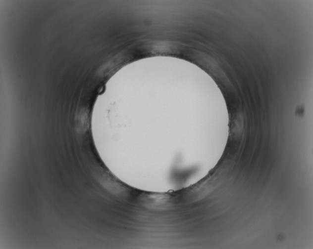 X0000101660478200808071025